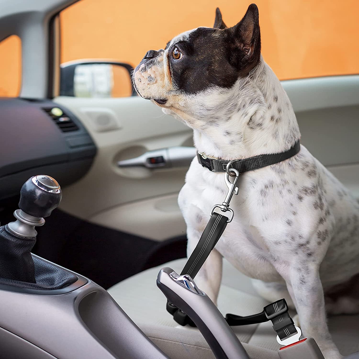 PawfectPets™ Dog Car Seat Belt