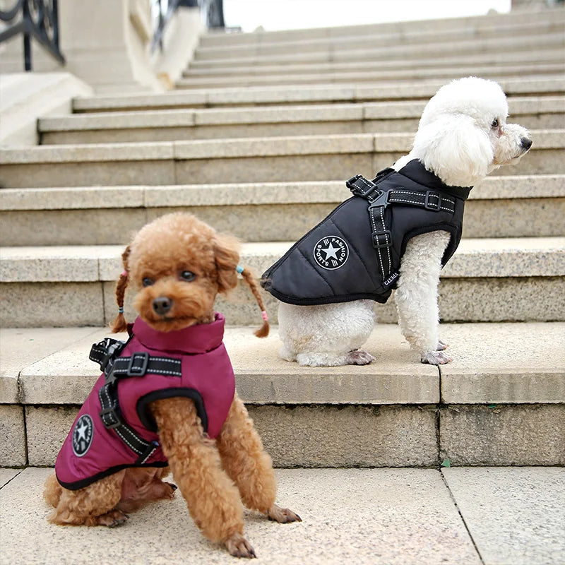 PawfectPets™ Waterproof Jacket