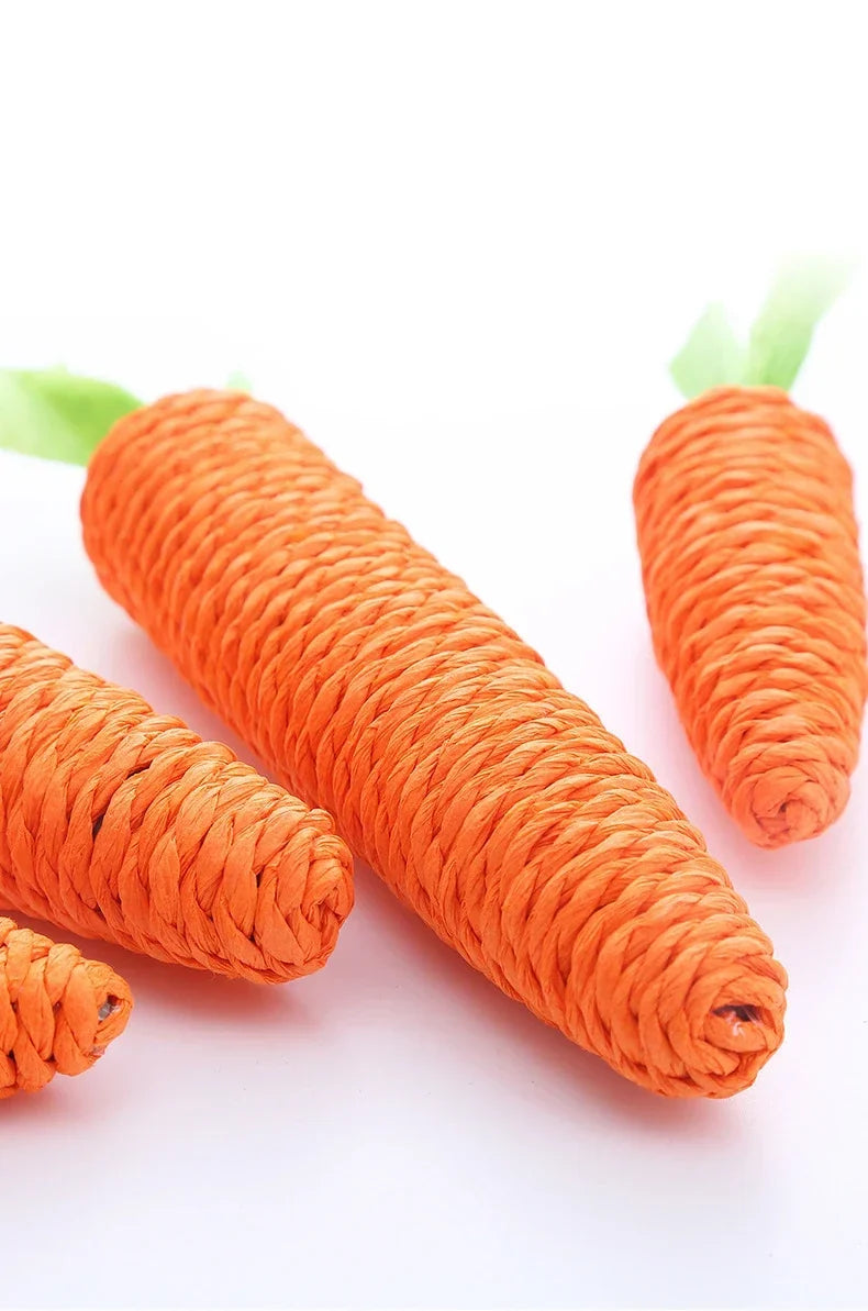 PawfectPets™Interactive Toy Carrot