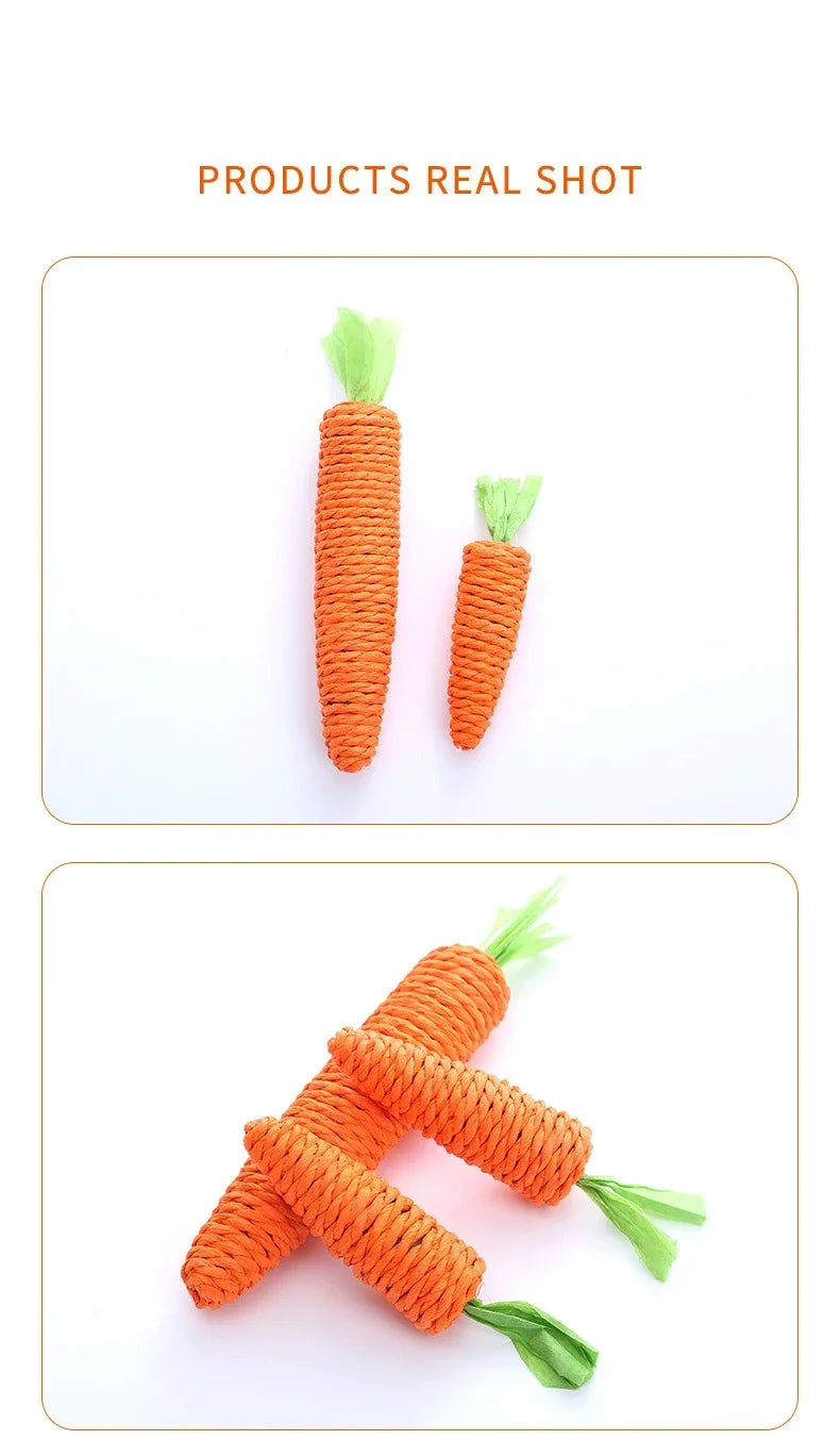 PawfectPets™Interactive Toy Carrot